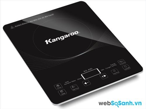 Kangaroo KG406i