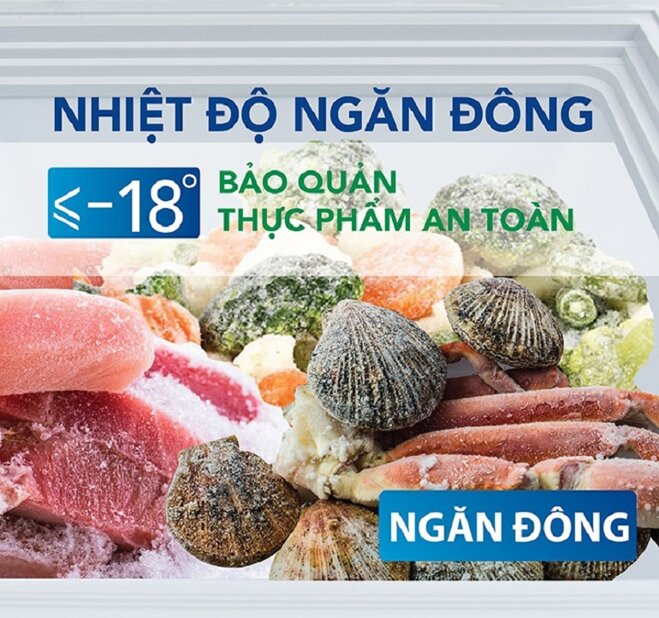 Tủ đông Hòa Phát 500 lít