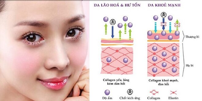 Vì sao nên cung cấp collagen cho da?