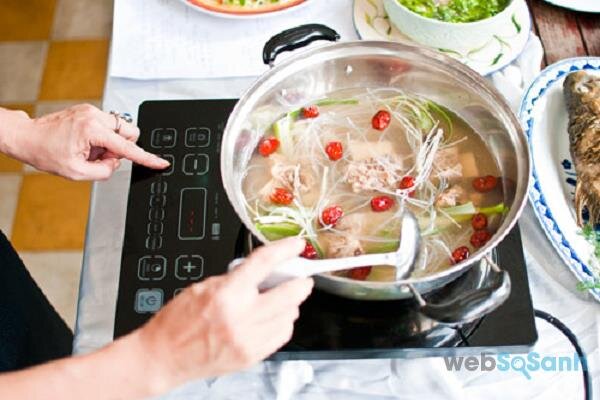 Chọn Mua Bếp Điện Từ Giá Rẻ Dưới 500 Ngàn Đồng | Websosanh.Vn