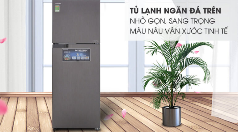 tủ lạnh Toshiba GR-AG36VUBZ - Inverter, 305 lít