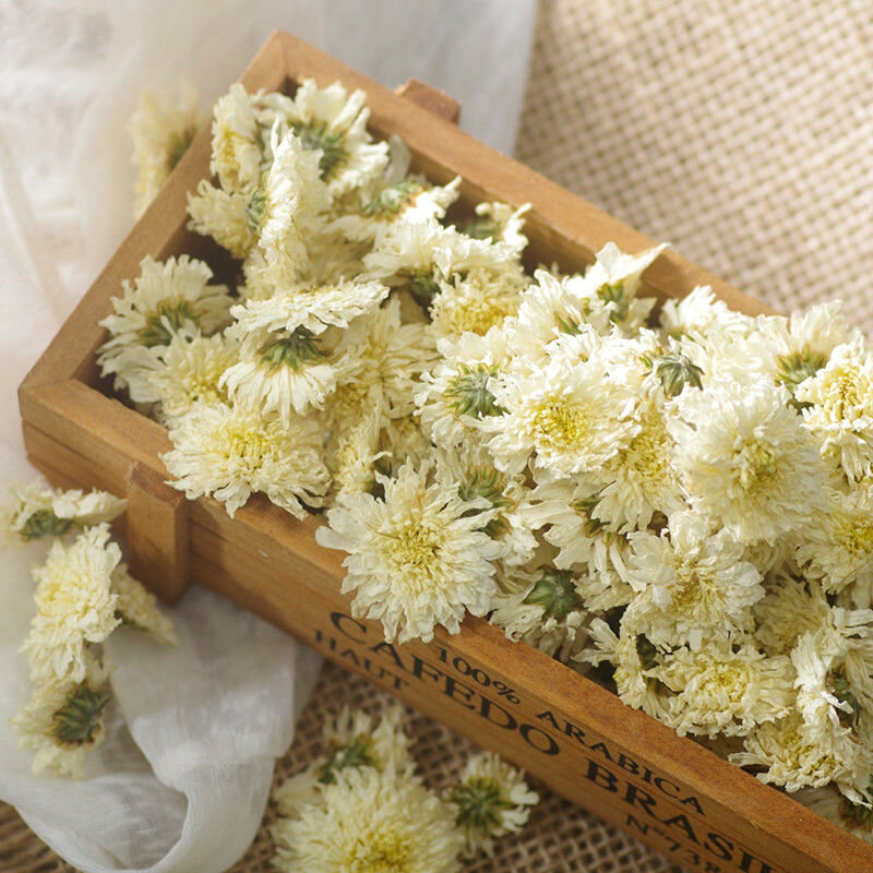Trà hoa cúc là một loại thảo dược quý giá được nhiều người ưa chuộng