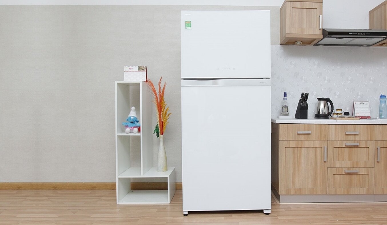 Kiểu mẫu truyền thống nhưng không kém phần tiện lợi của tủ lạnh Panasonic Inverter NR-BL308PSVN