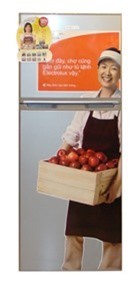 Tủ lạnh Electrolux ETB2100PC (ETB2100PC-RVN) - 210 lít, 2 cửa