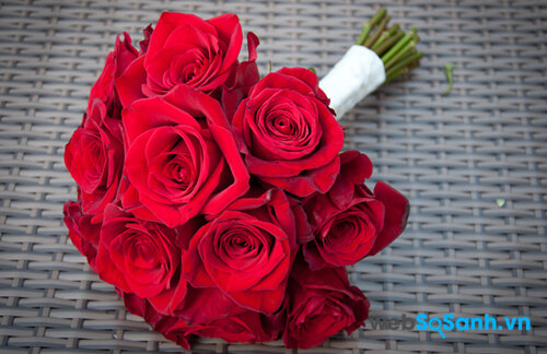 Ý nghĩa của những bông hoa hồng dành tặng nửa yêu thương ...