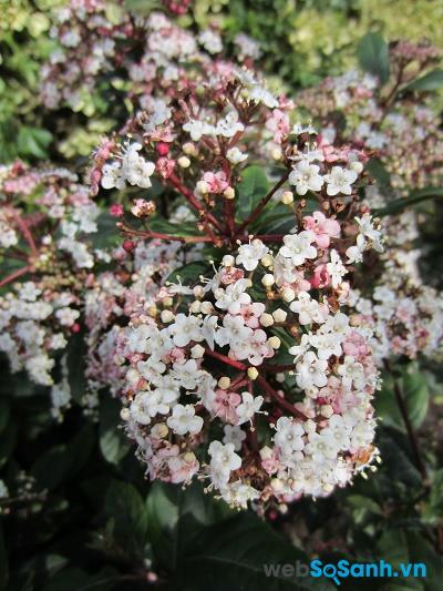 Ảnh chụp từ máy ảnh compact Canon IXUS 220 HS ở tiêu cự 24 mm, f/4, ISO 125 Ảnh chụp từ máy ảnh compact Canon IXUS 220 HS ở tiêu cự 24 mm, f/4, ISO 125