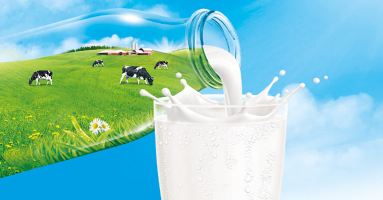 Bảng giá sữa tươi nguyên kem cập nhật mới nhất tháng 6/2019