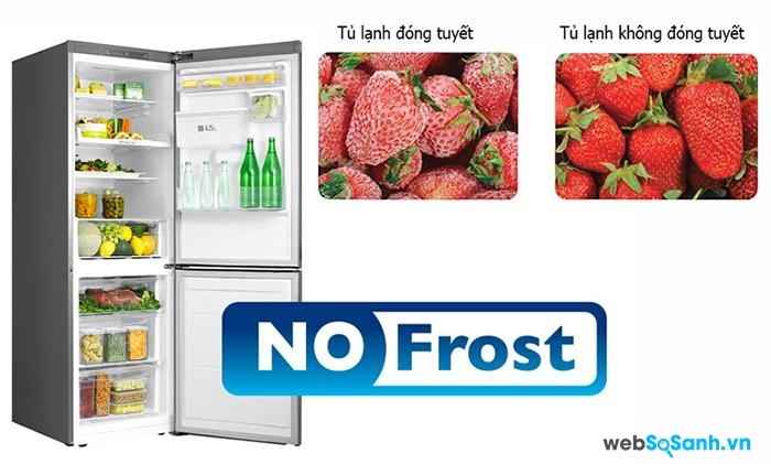 Tủ lạnh không đóng tuyết giúp tiết kiệm điện năng hơn (nguồn: internet)