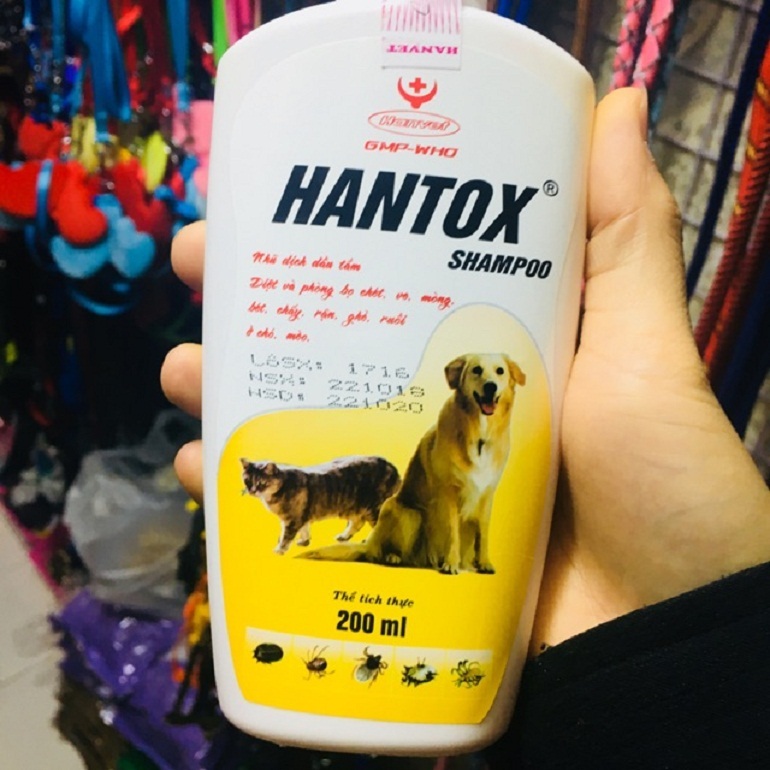 Sữa tắm trị rận cho mèo Hantox