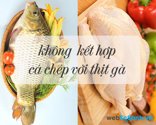 Không nên kết hợp thịt gà với cá chép