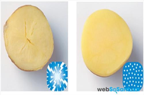 Công nghệ cấp đông mềm không làm phá vỡ liên kết các tế bào thực phẩm Công nghệ cấp đông mềm không làm phá vỡ liên kết các tế bào thực phẩm