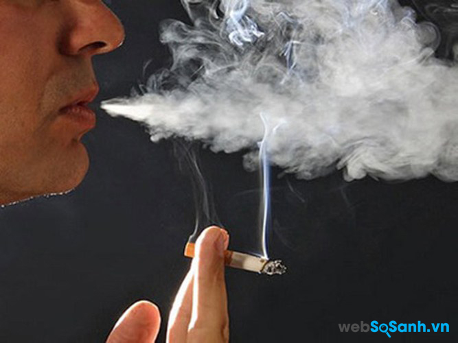 Hút thuốc làm tăng nguy cơ mắc các bệnh ung thư