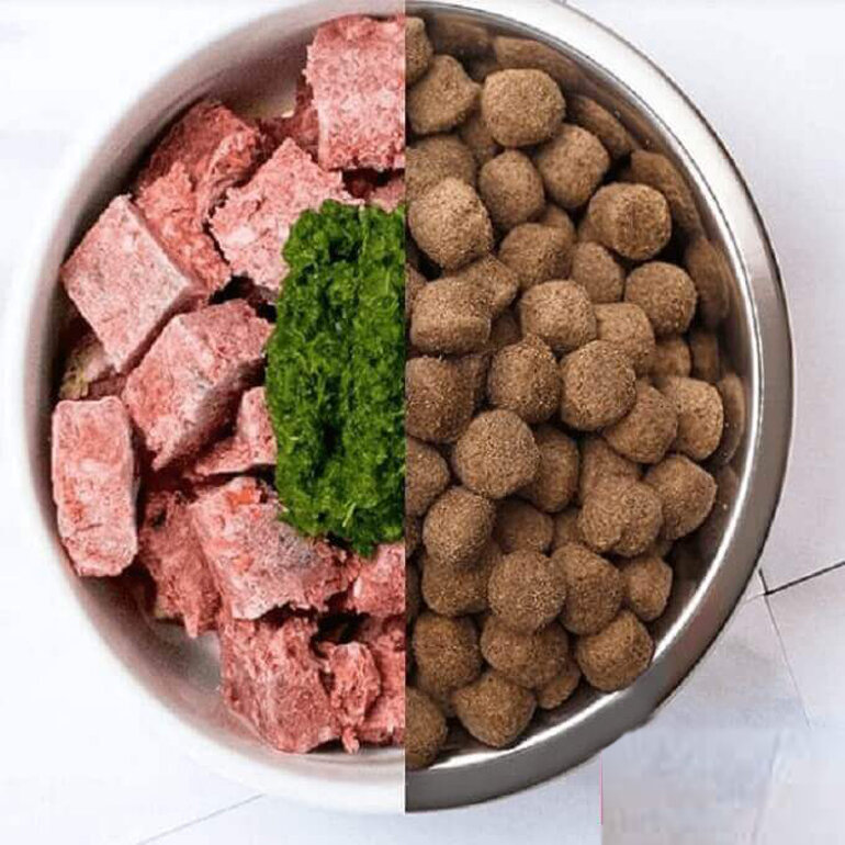 Dry dog ​​food is increasingly chosen by many owners because of its convenience