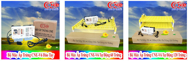 máy ấp trứng cne v6