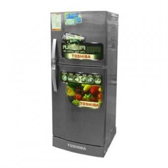 Tủ lạnh Toshiba GR-S19VUP (S19VUP(TS) / GRS19VUPTS) - 171 lít, 2 cửa