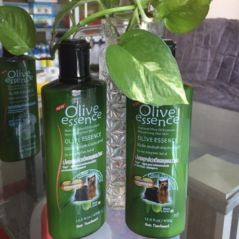 Sữa tắm khử mùi hôi cho chó Olive Essence