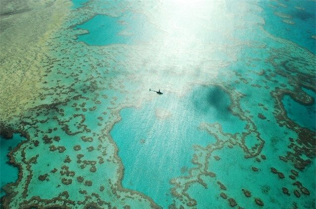 “A ride over the reef”. Whilst taking in the amazing scene of Heart Reef in the Great Barrier Reef a helicopter dived in beneath us to take a better view... Photo location: Great Barrier Reef, Australia. (Photo and caption by Wayne Pope/National Geographic Photo Contest)