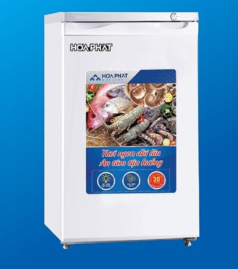Tủ đông Hòa Phát 300SR1