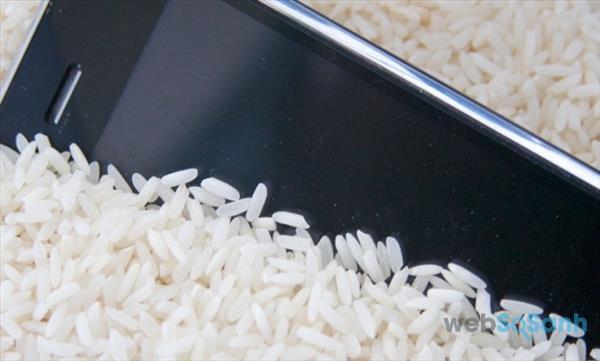 Cho điện thoại vào thùng gạo để hút ẩm