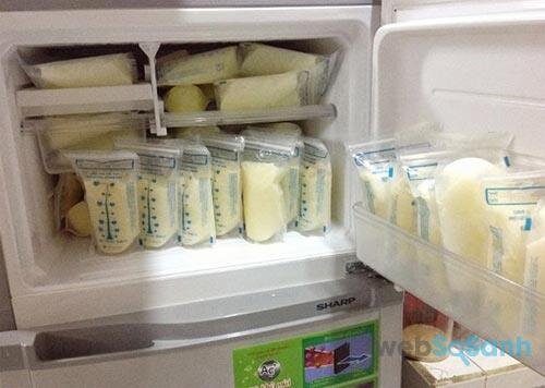 tủ lạnh trữ sữa