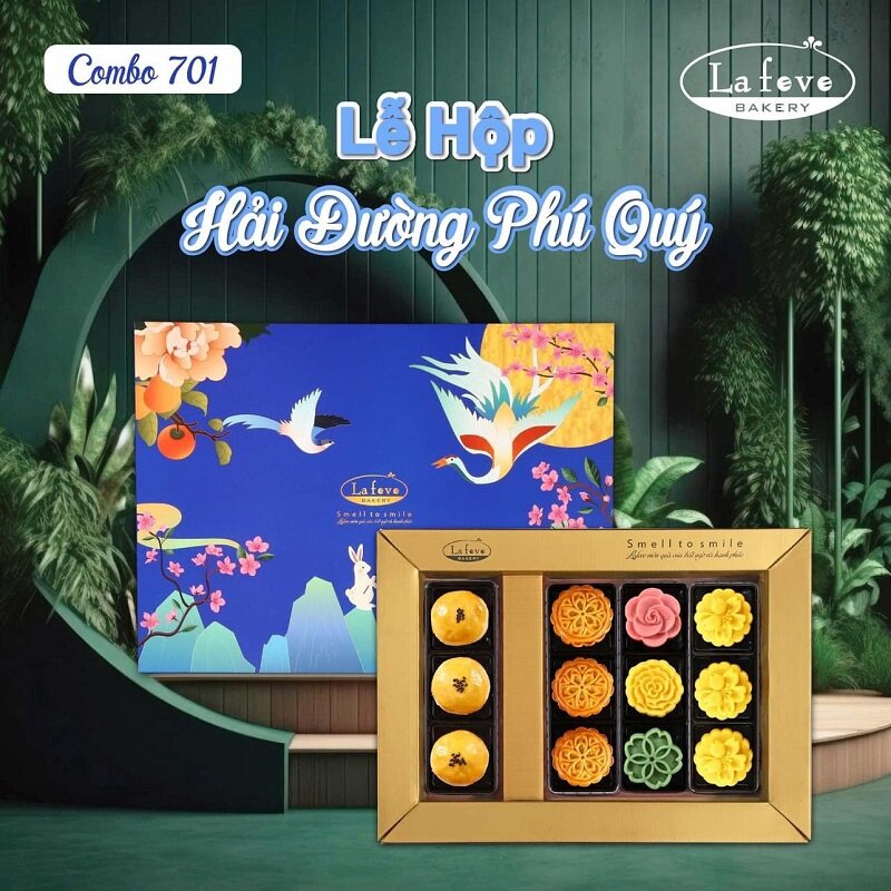 Hai Duong Phu Quy moon cake box