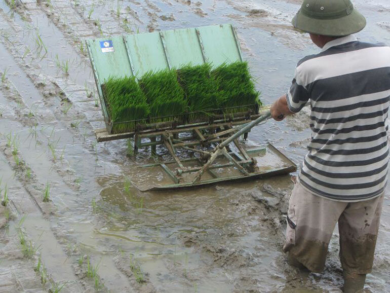 máy cấy lúa mini