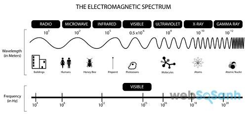 Lò vi sóng sử dụng sóng điện tử để làm chín thức ăn