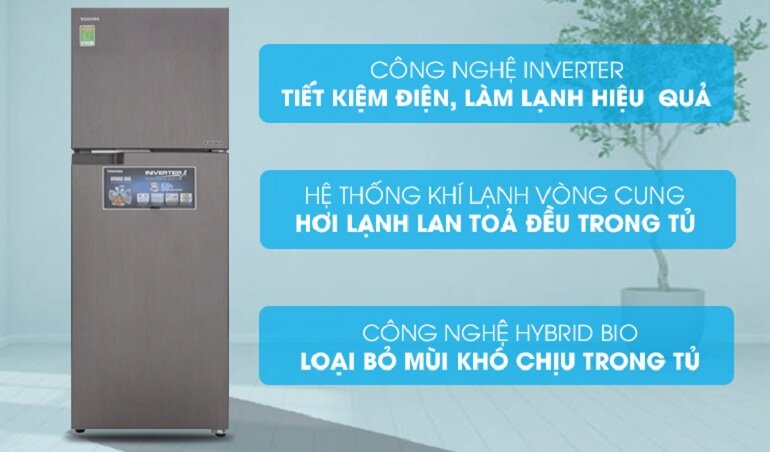 Tủ lạnh 300 lít