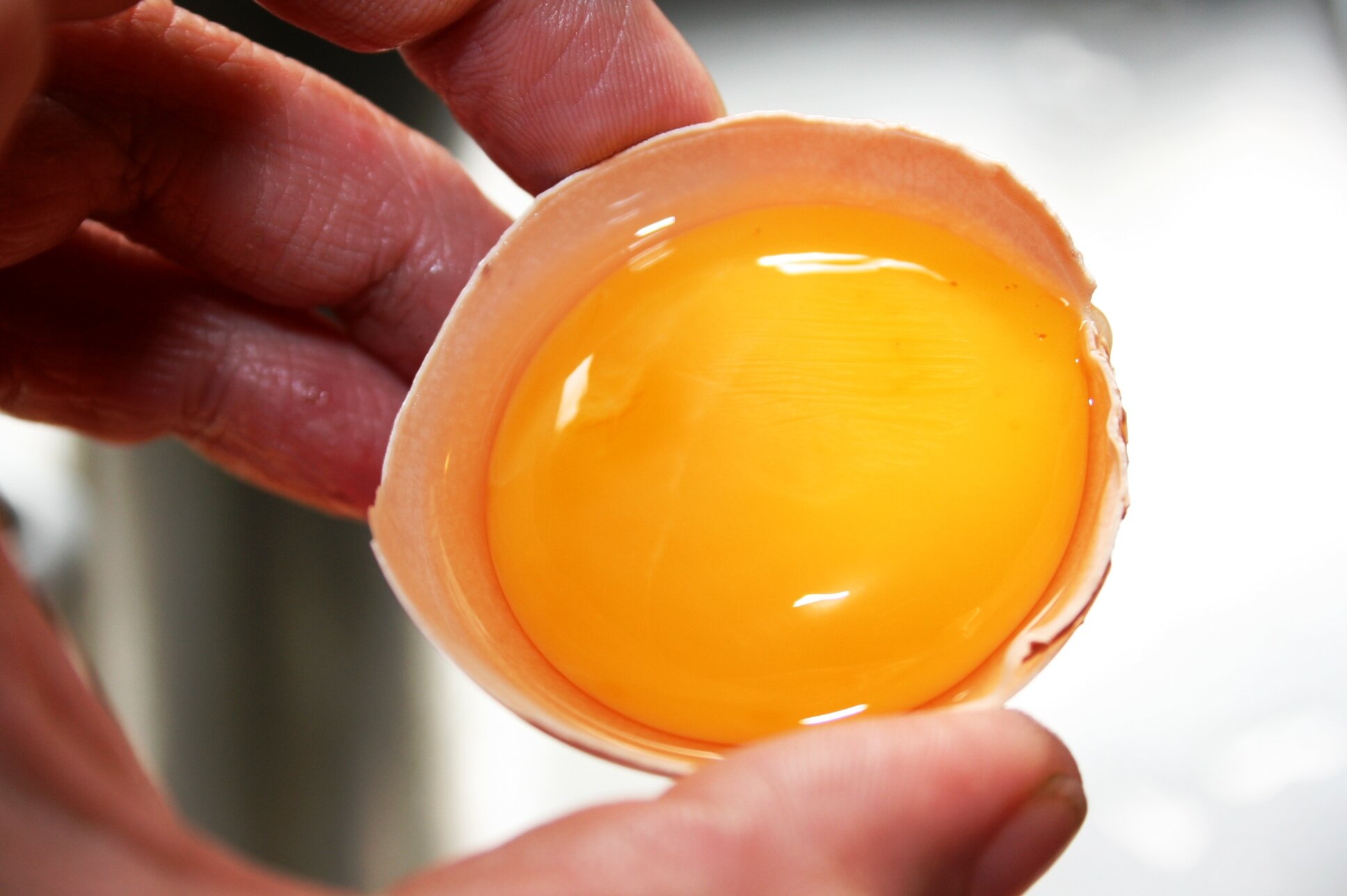 Lòng đỏ trứng chứa protein cao, GI thấp có lợi cho người đường huyết cao