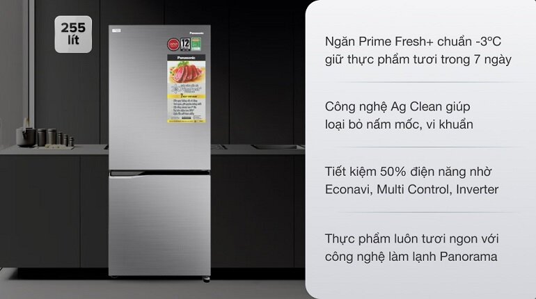 Tủ lạnh Panasonic Inverter