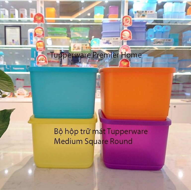Bộ hộp trữ mát Tupperware Medium Square Round