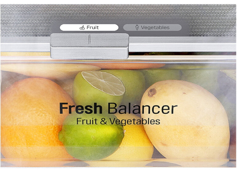 Tủ lạnh 2 cánh LG GR-D305PS có ngăn để thực phẩm và rau củ rất tiện lợi cho người dùng