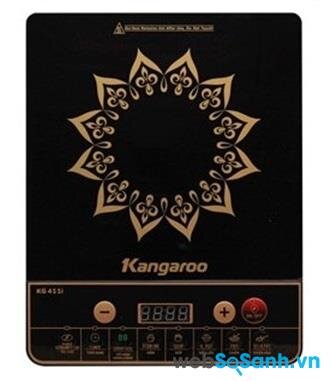 Kangaroo KG411i