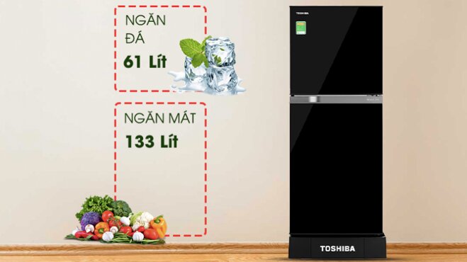 tủ lạnh Toshiba GR-A25VM (UKG1)