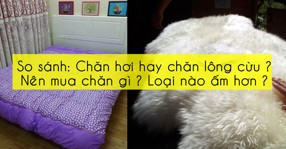 So sánh chăn lông cừu và chăn hơi