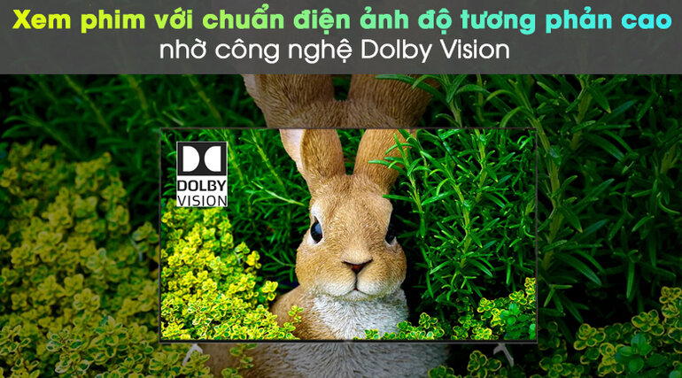 Công nghệ Dolby Vision mang đến hình ảnh hiển thị với màu sắc chân thực