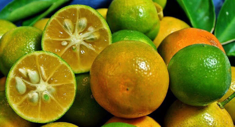 cách làm mứt quất