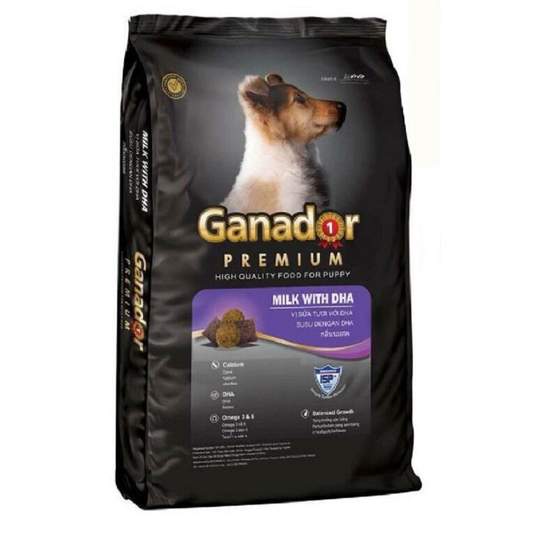 Ganador dry food for Malinois dogs