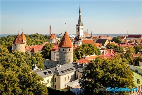 Toàn cảnh Tallinn nhìn từ trên cao