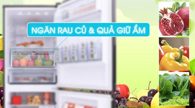 Ngăn rau củ riêng biệt trên tủ lạnh ngăn đá dưới Panasonic Inverter 322 lít NR-BC360QKVN