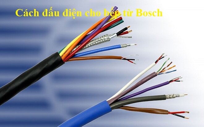 Chuẩn bị dụng cụ trong khi xem cách đấu điện bếp từ Bosch