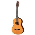 Đàn Guitar Classic Yamaha CG-101A