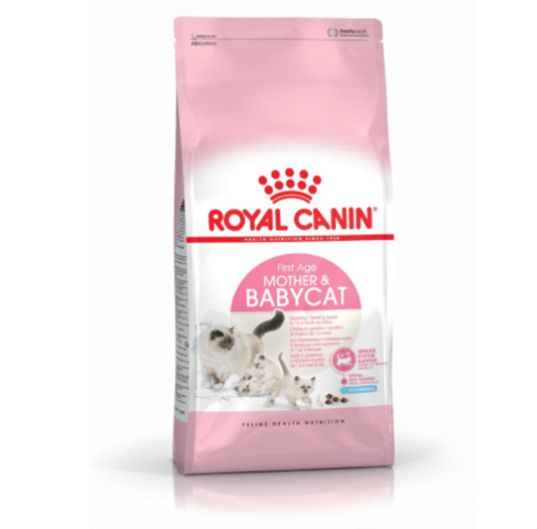 Royal Canin dry food for postpartum mother cats