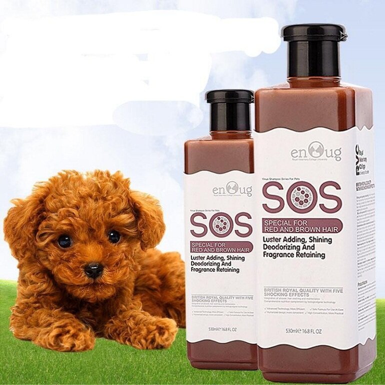 Shampoo for brown Poodle dogs - SOS Red & Brown