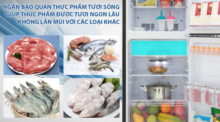 Có nên mua tủ lạnh Sharp 150l SJ-X176E-SL sử dụng không?