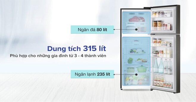 Thiết kế hai ngăn truyền thống với dung tích 315 Lít