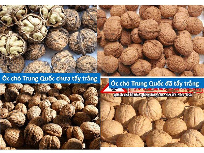 cách phân biệt quả óc chó mỹ trung quốc