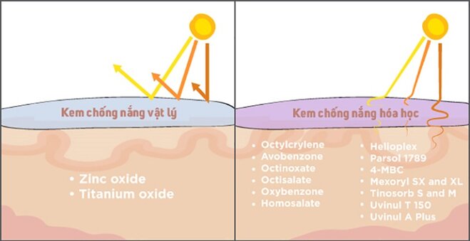 Lưu ý khi chọn thành phần có trong kem chống nắng