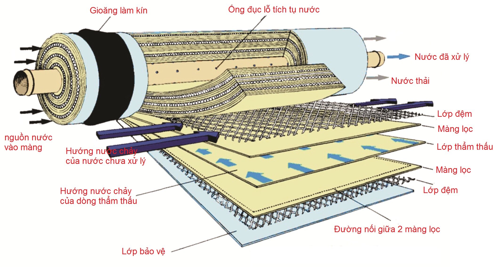  Nên vệ sinh màng lọc RO thường xuyên bằng hóa chất rửa màng để nâng cao tuổi thọ máy lọc nước 