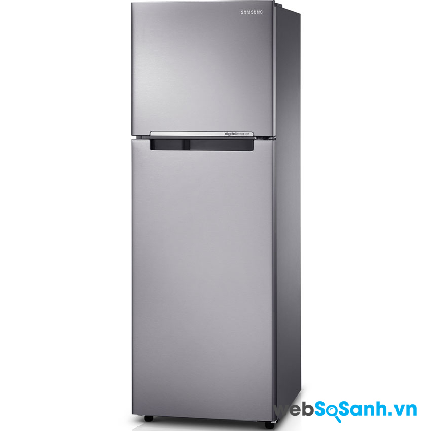 Tủ lạnh Samsung RT-25FARBDSA/SV